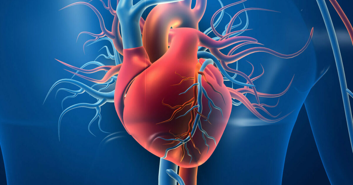 Heart Disease: A Leading Cause of Death in Orange County — image 2