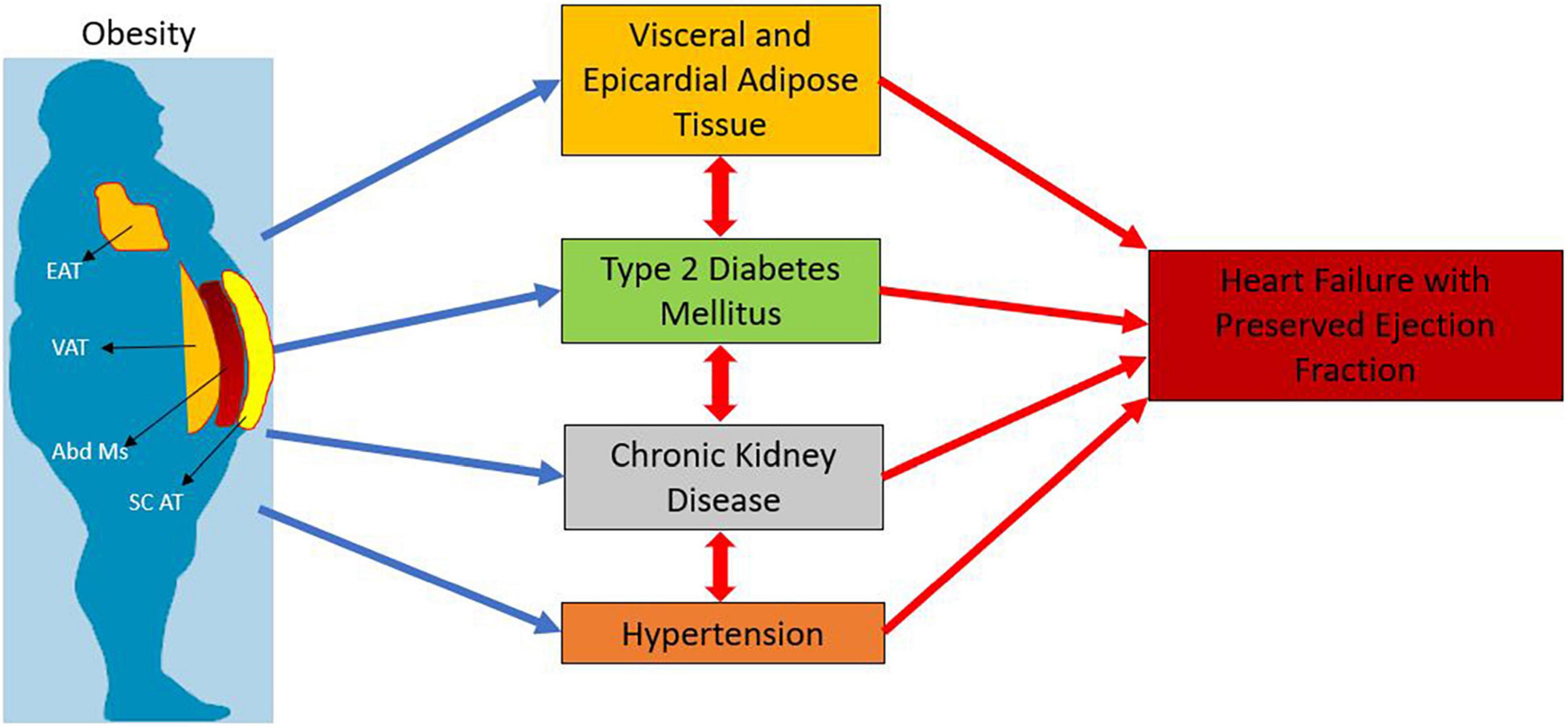 Obesity and Diabetes: A Growing Health Concern in Orange County — image 3